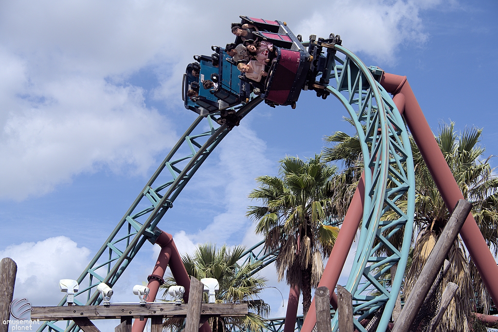 Cobra's Curse