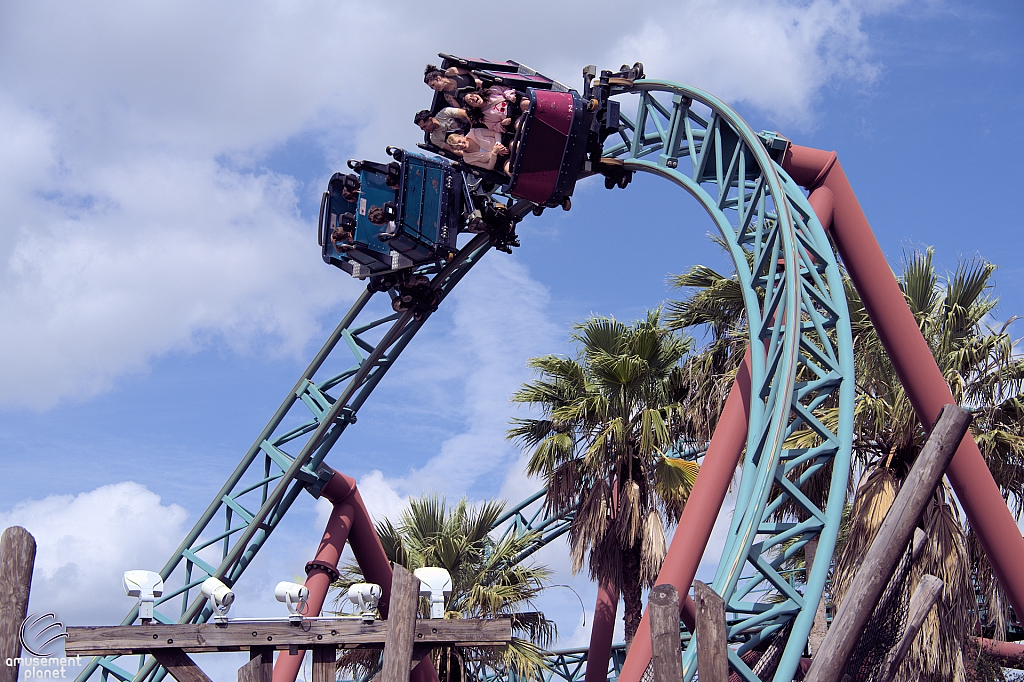 Cobra's Curse