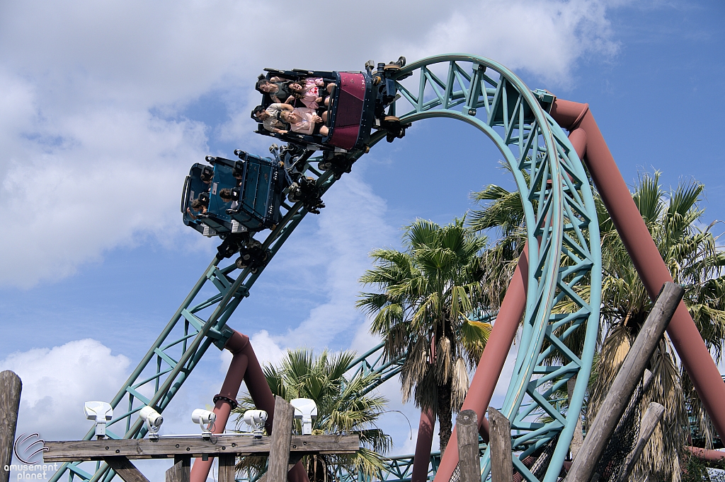 Cobra's Curse