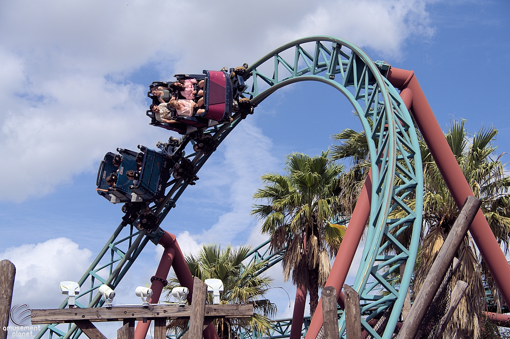 Cobra's Curse