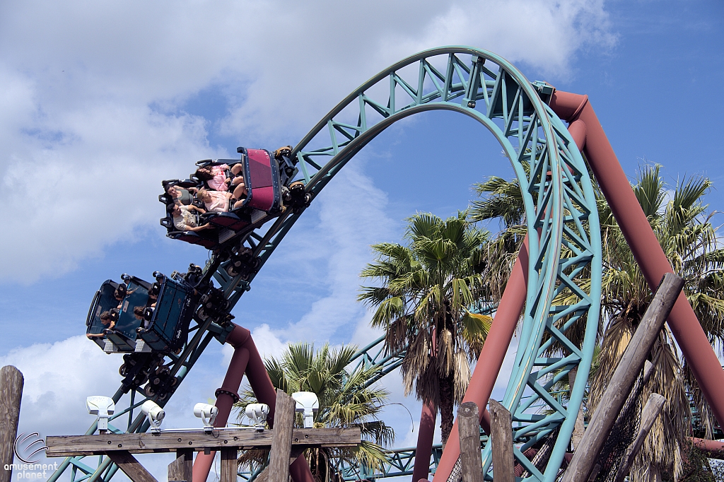 Cobra's Curse