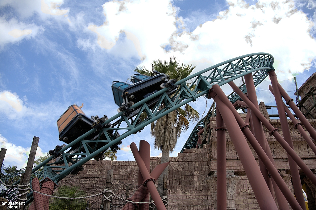 Cobra's Curse