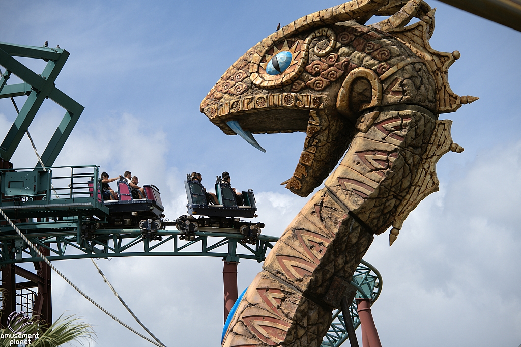 Cobra's Curse