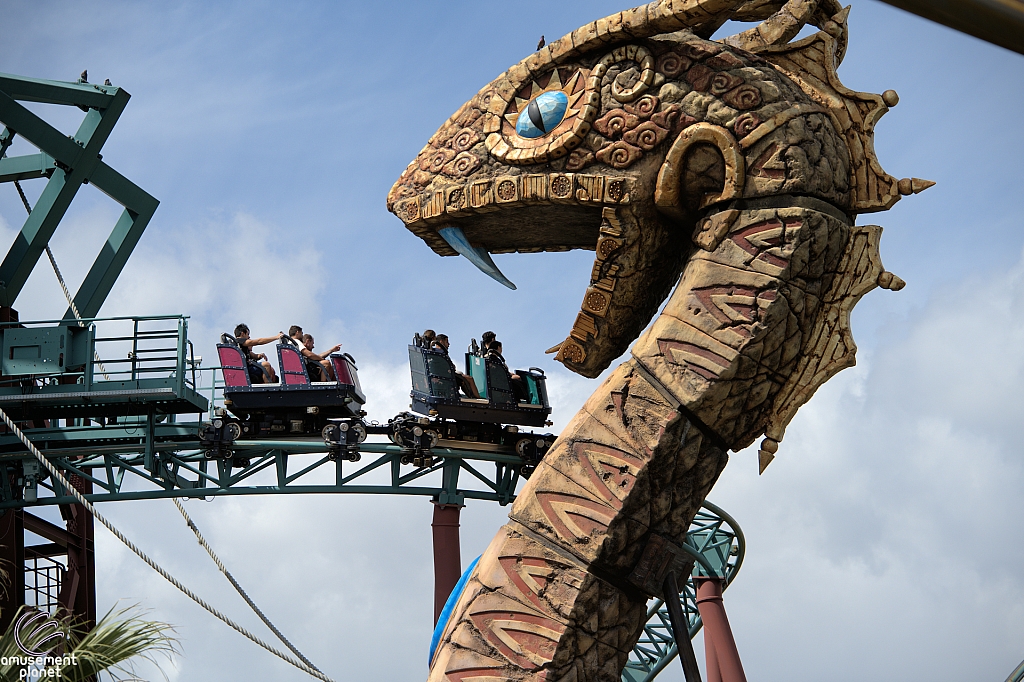 Cobra's Curse