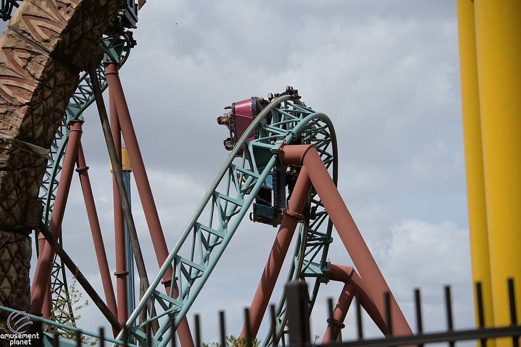 Cobra's Curse