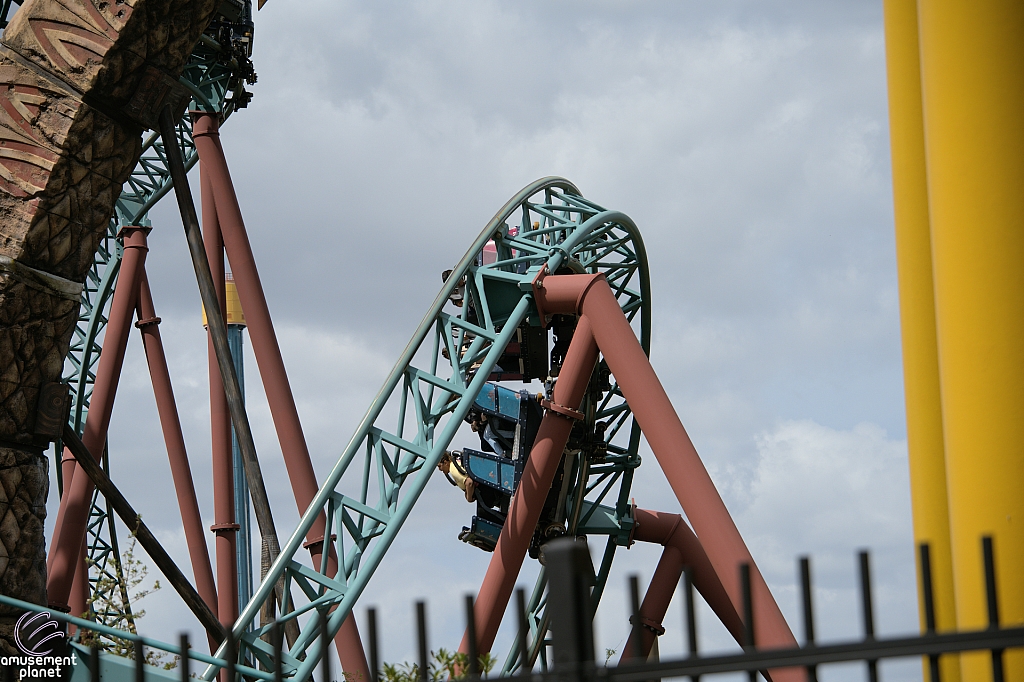 Cobra's Curse