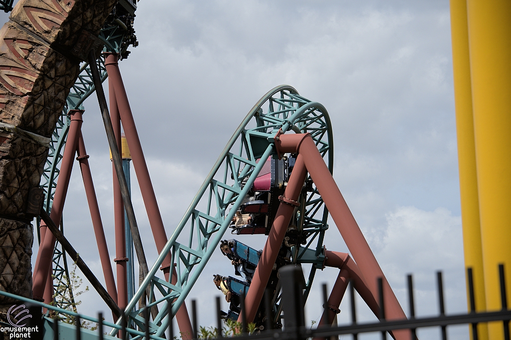 Cobra's Curse