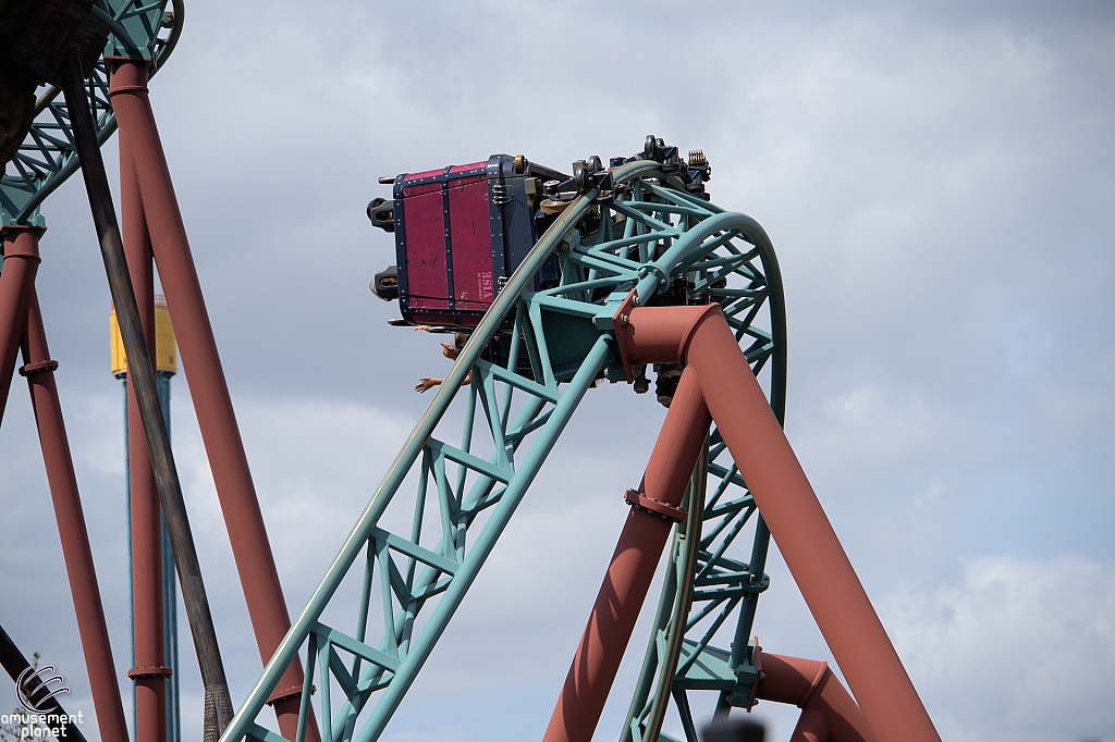 Cobra's Curse