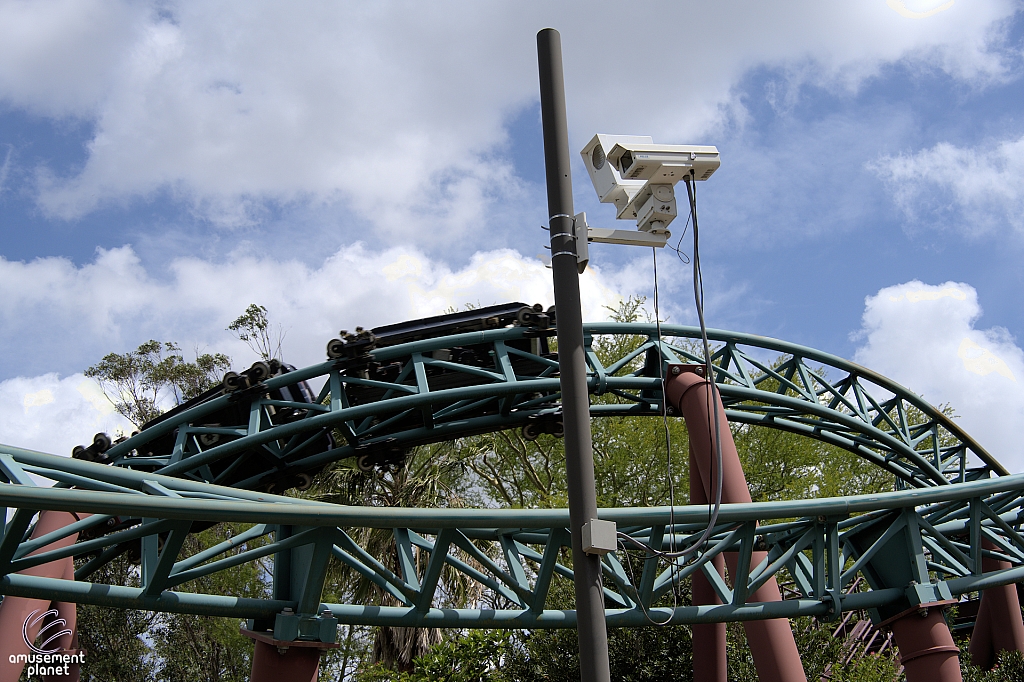 Cobra's Curse