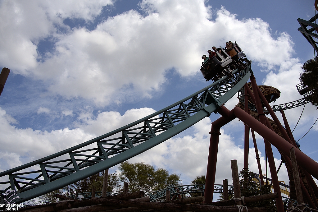 Cobra's Curse