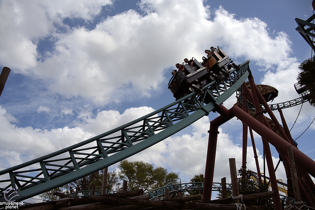 Cobra's Curse