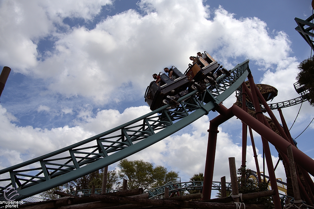 Cobra's Curse
