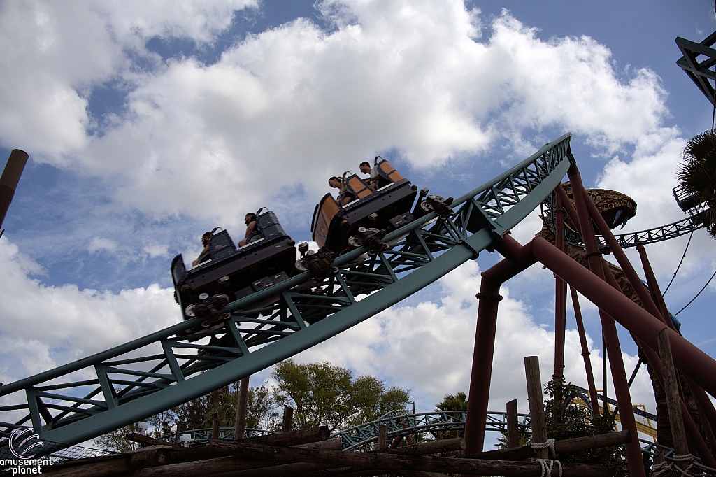 Cobra's Curse
