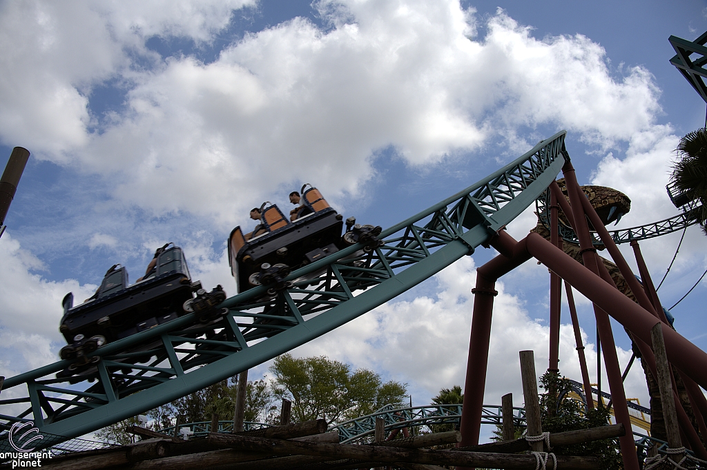 Cobra's Curse