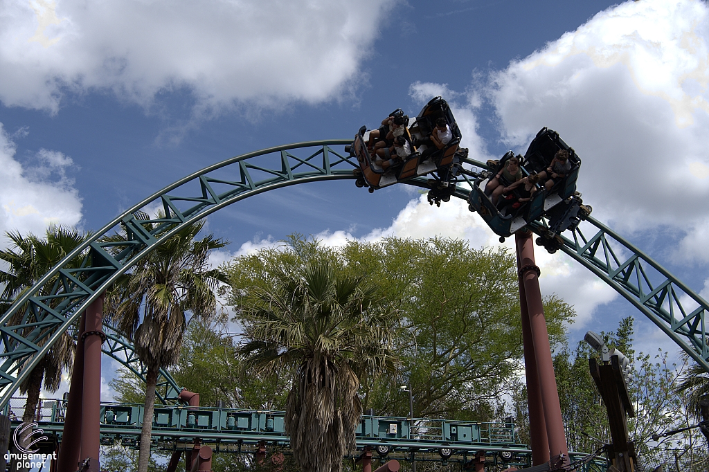 Cobra's Curse