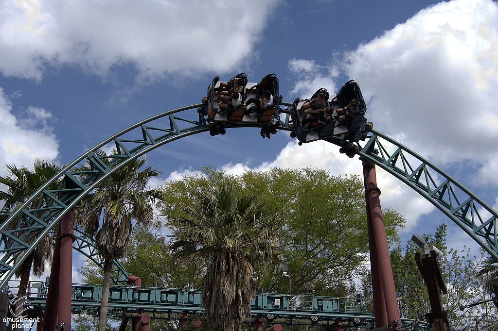 Cobra's Curse