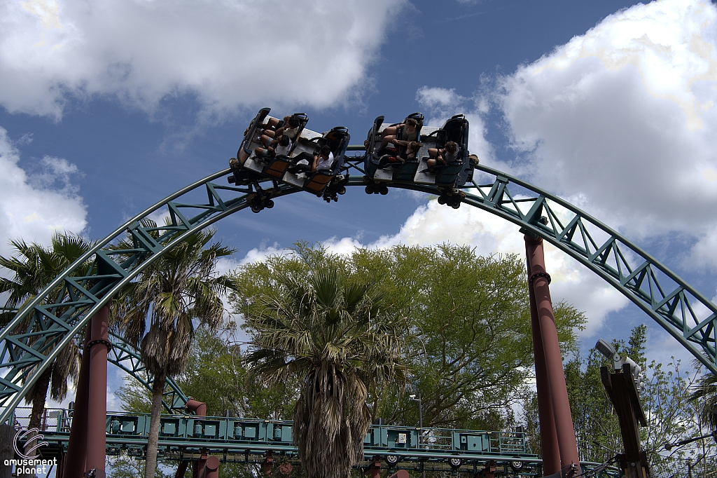 Cobra's Curse