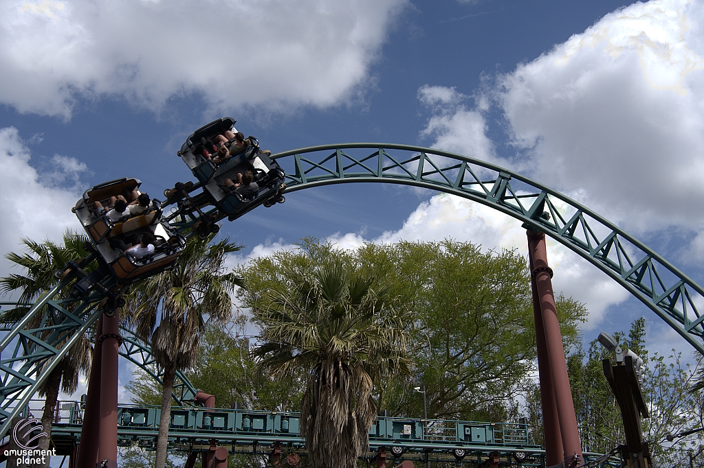 Cobra's Curse