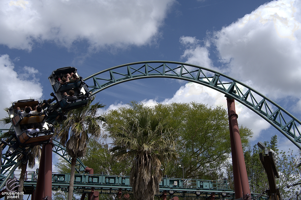 Cobra's Curse