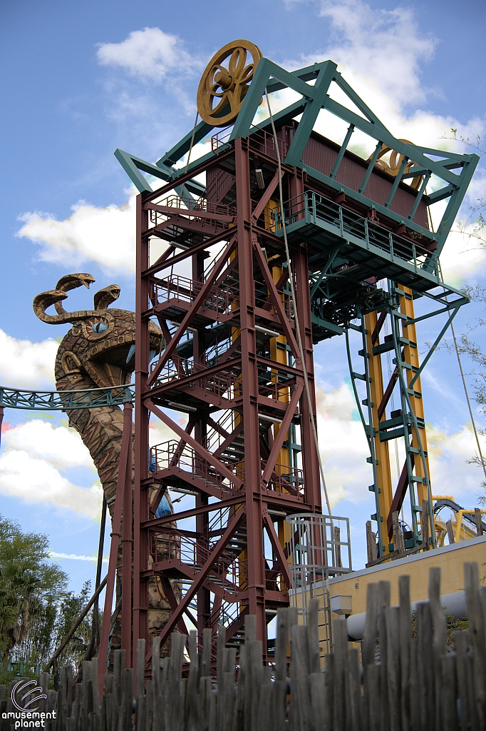 Cobra's Curse