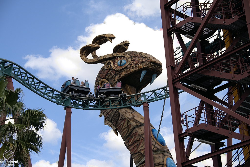 Cobra's Curse