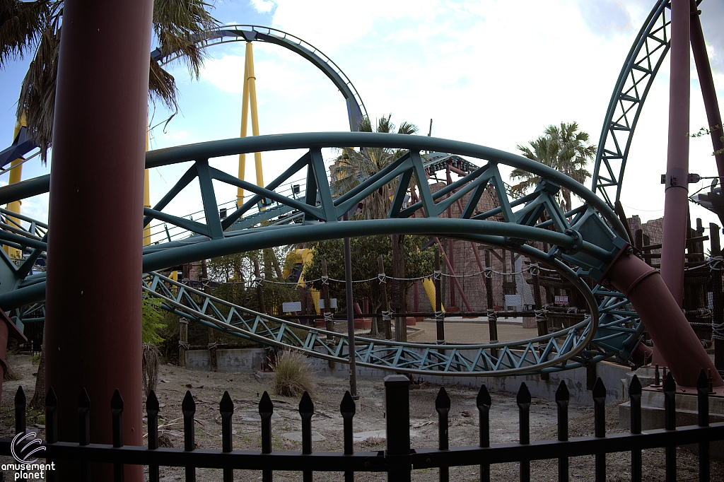 Cobra's Curse
