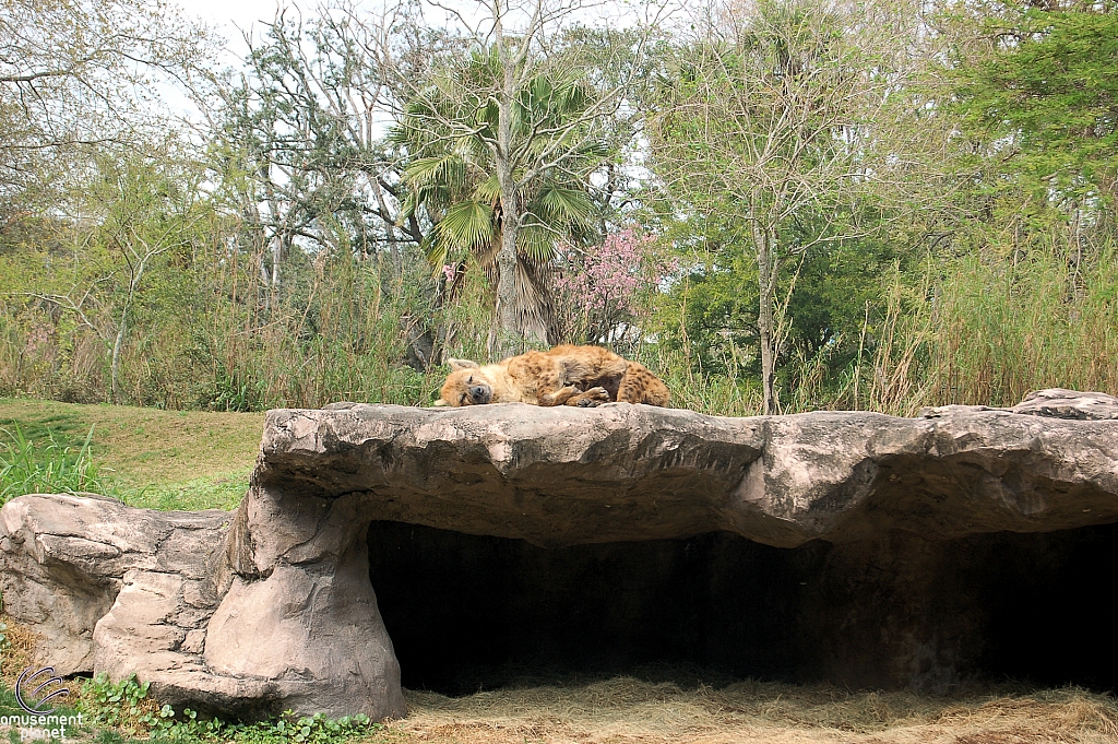 Busch Gardens Tampa