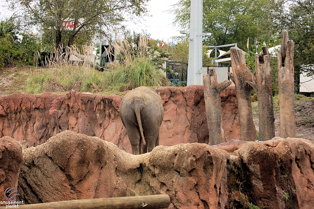 Busch Gardens Tampa