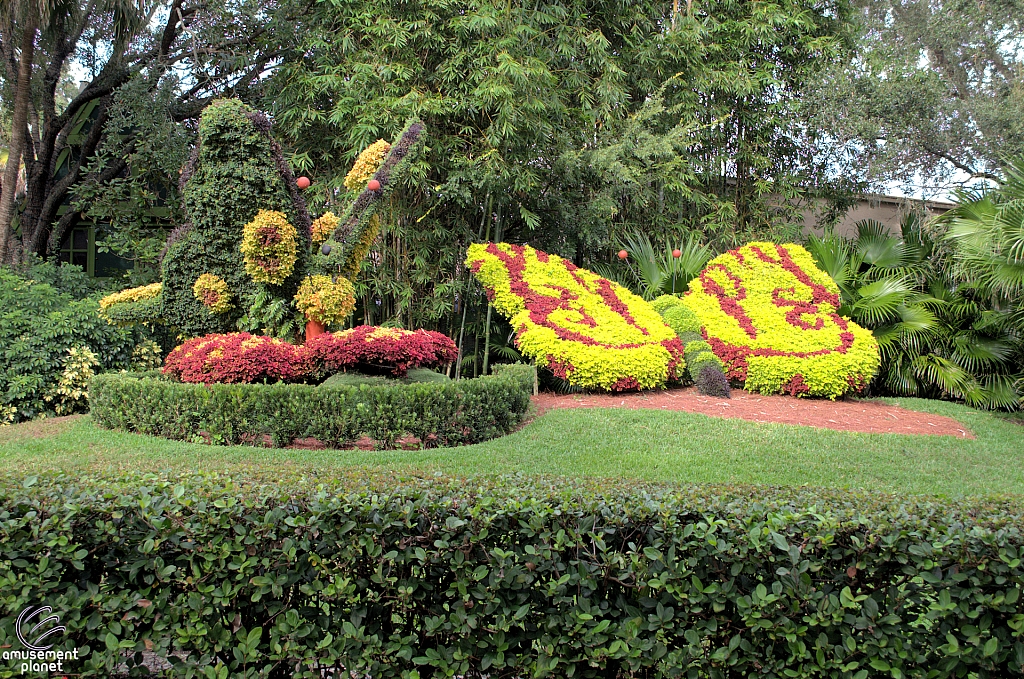 Busch Gardens Tampa