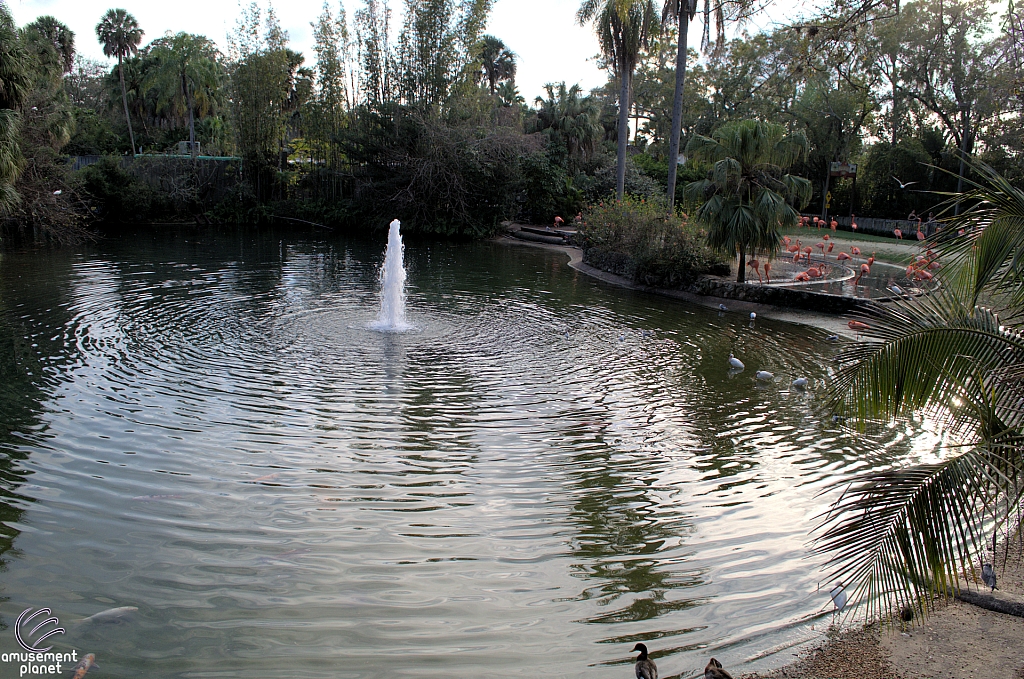 Busch Gardens Tampa