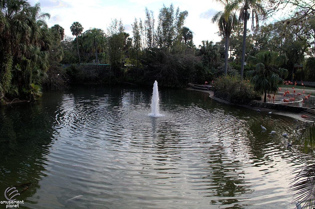 Busch Gardens Tampa