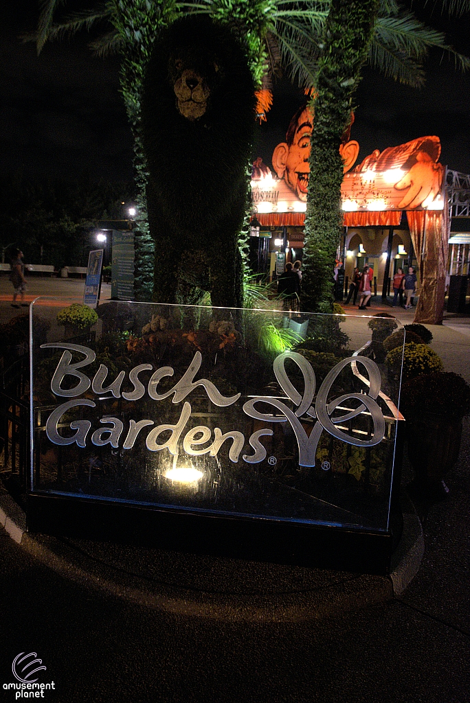Busch Gardens Tampa