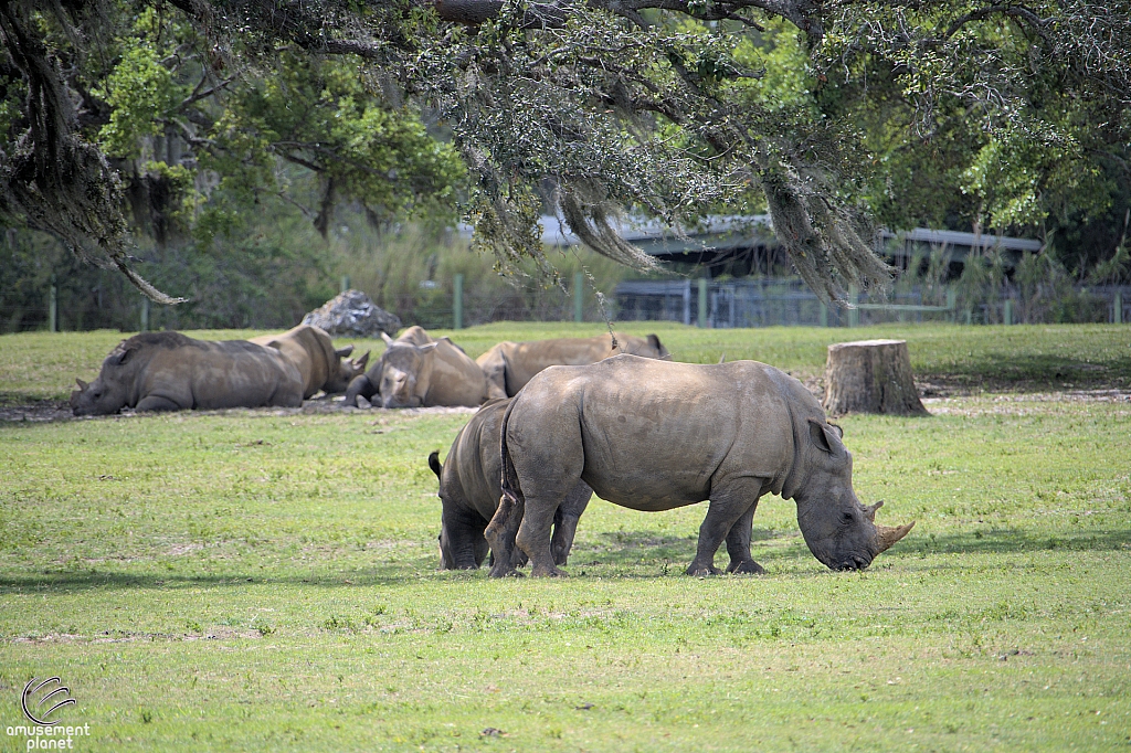 Busch Gardens Tampa
