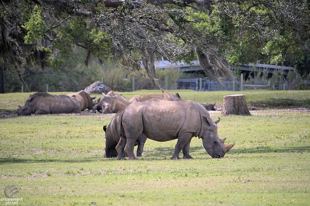 Busch Gardens Tampa