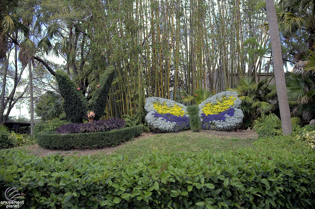 Busch Gardens Tampa