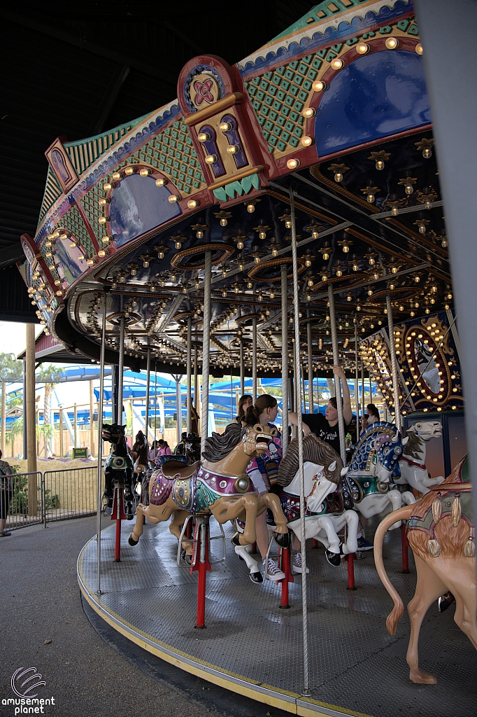 Carousel Caravan