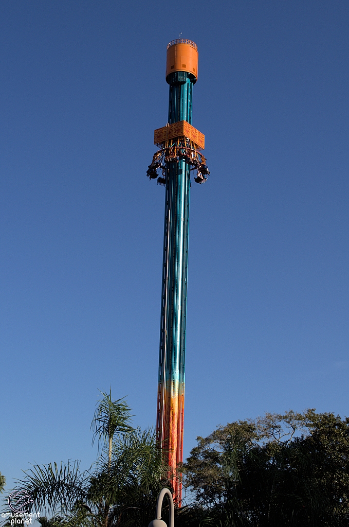 Falcon's Fury
