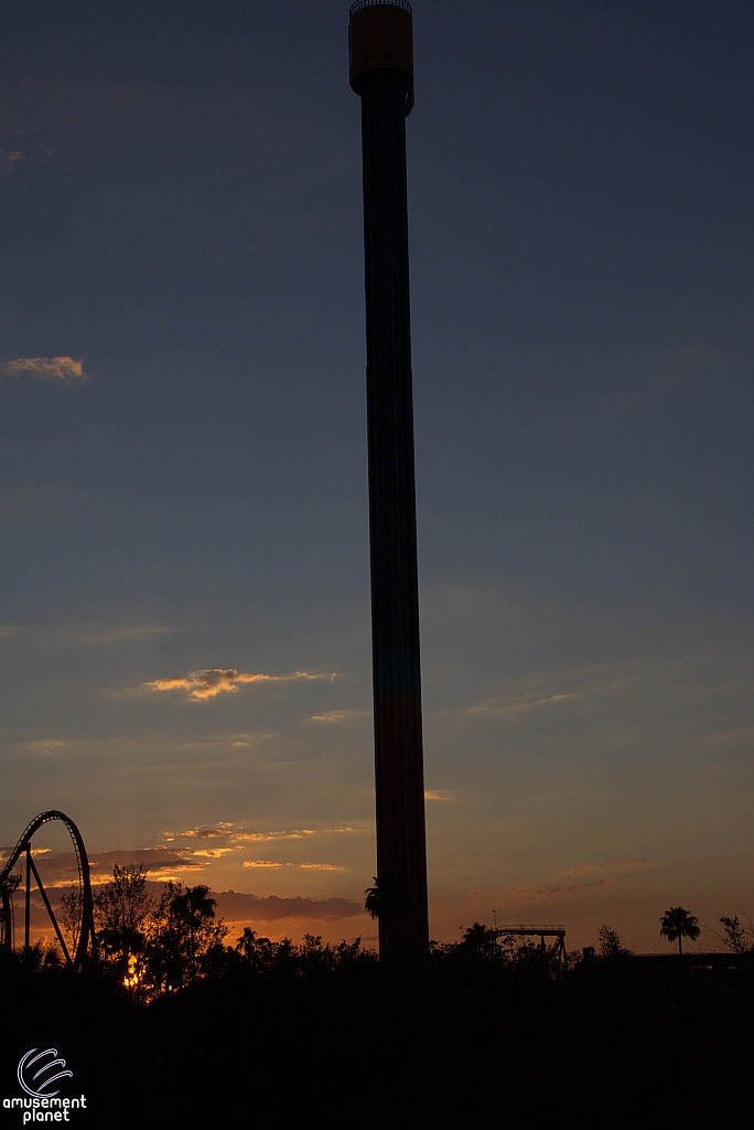 Falcon's Fury