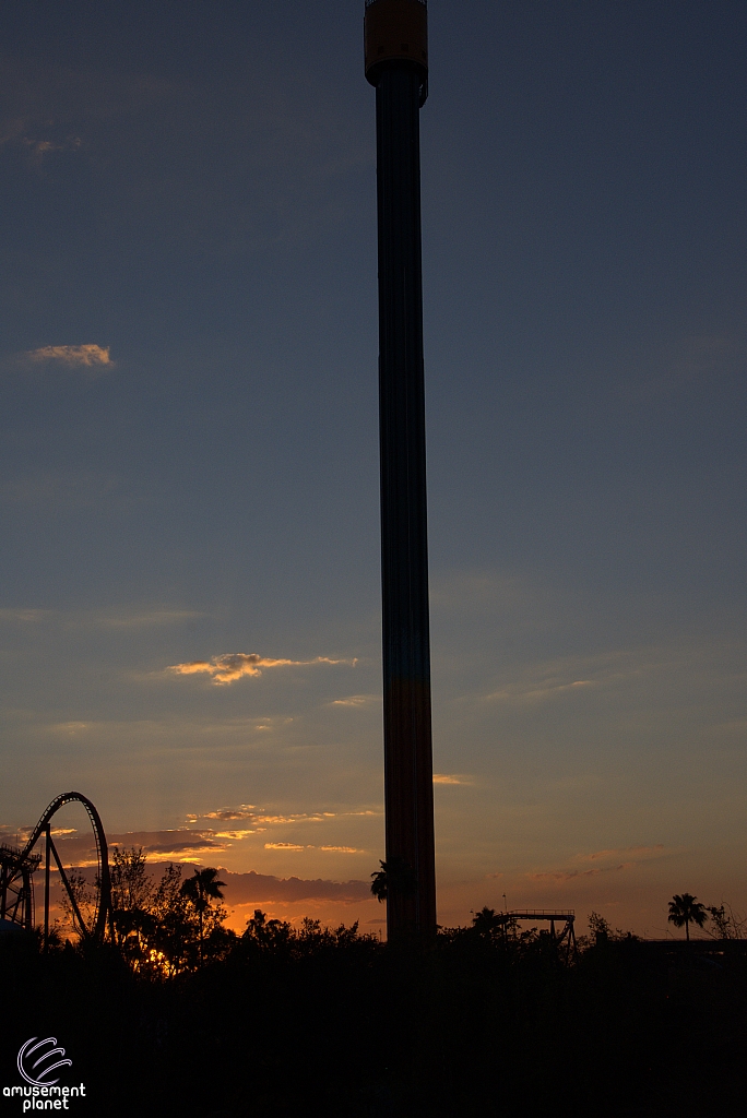 Falcon's Fury
