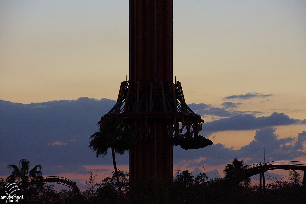 Falcon's Fury