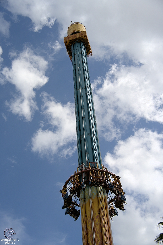 Falcon's Fury