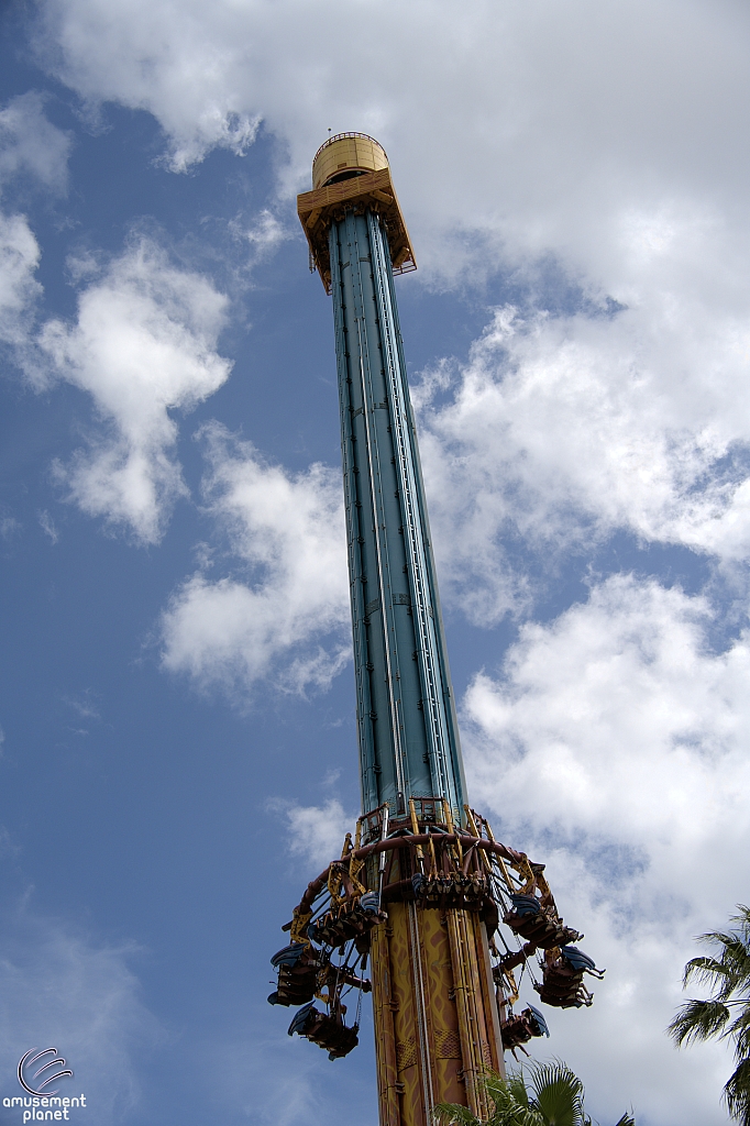 Falcon's Fury