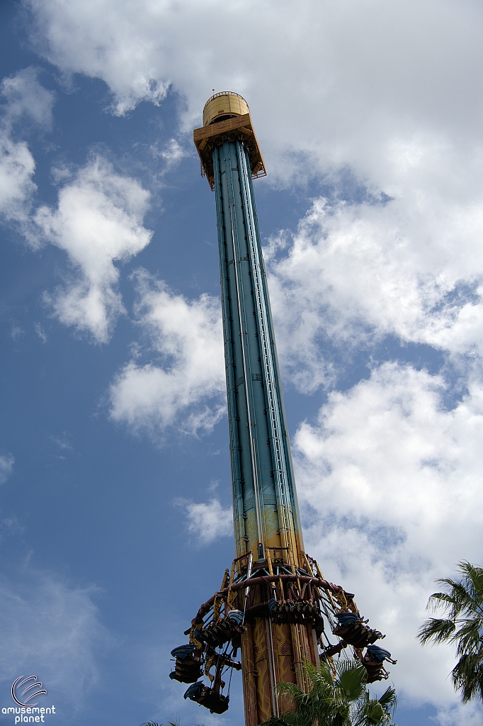 Falcon's Fury