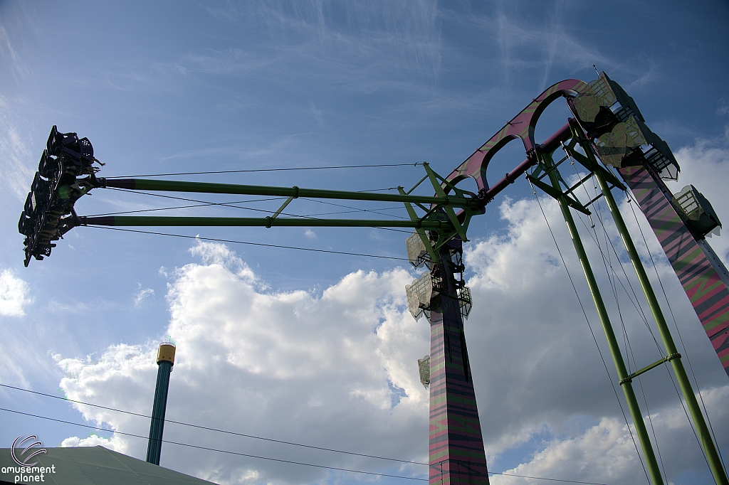 Serengeti Flyer