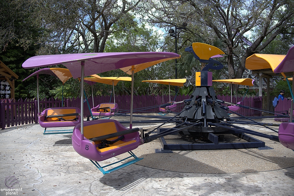 Gwazi Gliders