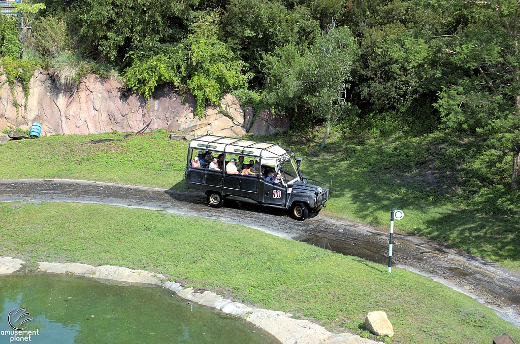 Rhino Rally