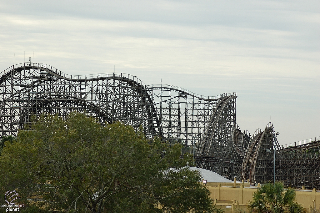 Gwazi