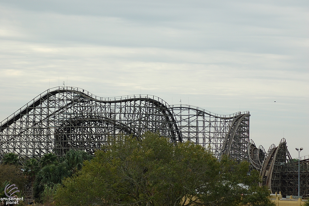 Gwazi