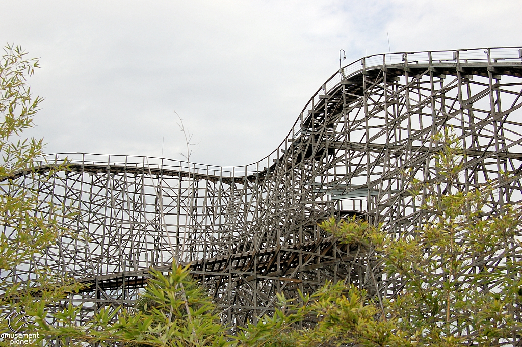 Gwazi