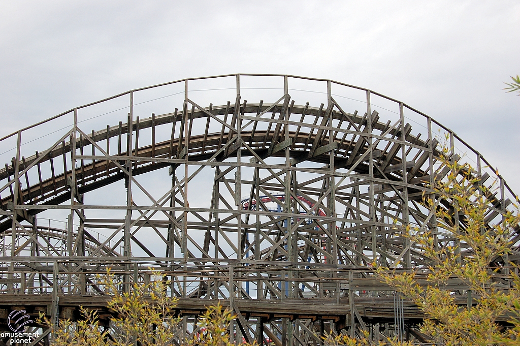 Gwazi